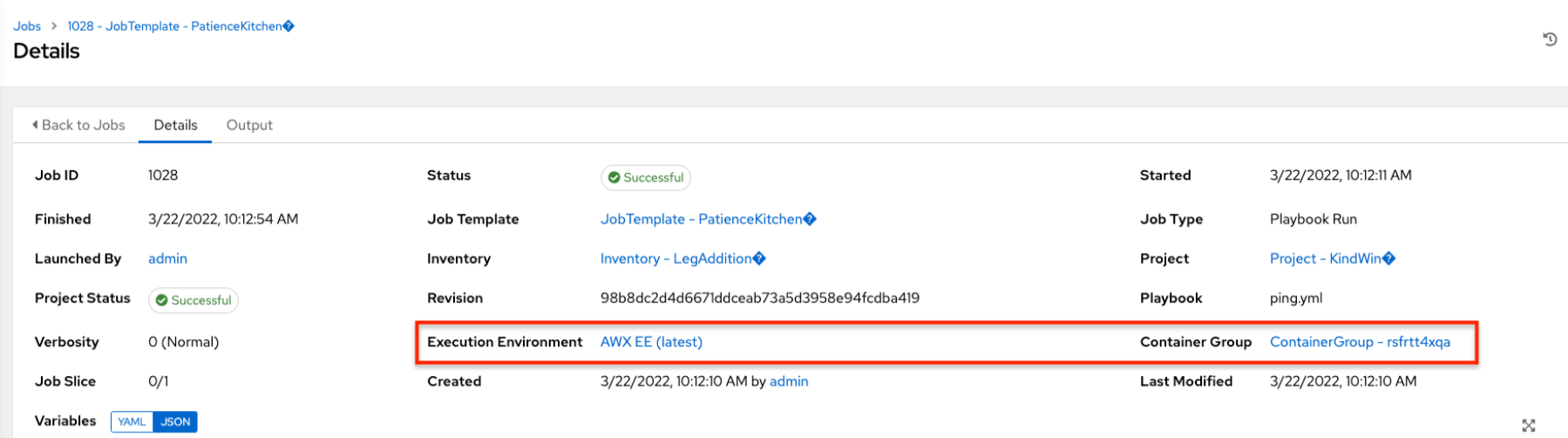 Example Job details window showing the associated execution environment and container group.