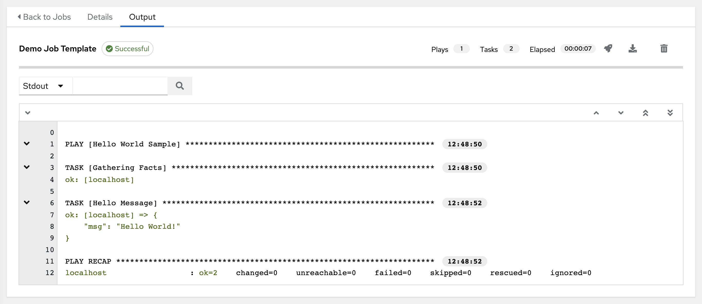 Example output for a successful playbook run