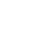 Ansible Logo